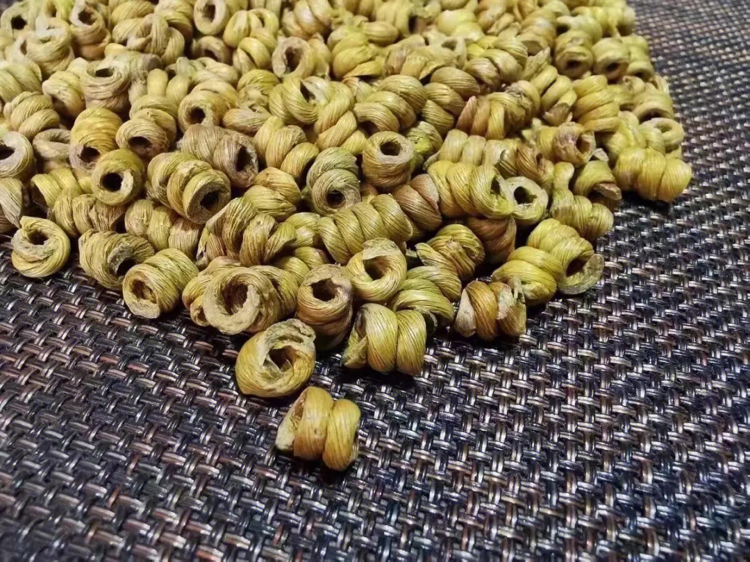 霍山铁皮石斛——千载珍稀草药，一斤价格竟如此之高！